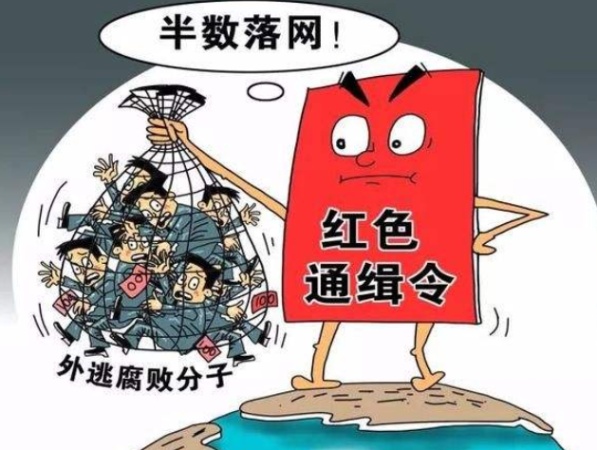 合同诈骗近七千万！你应该知道的合同诈骗罪的三种情形