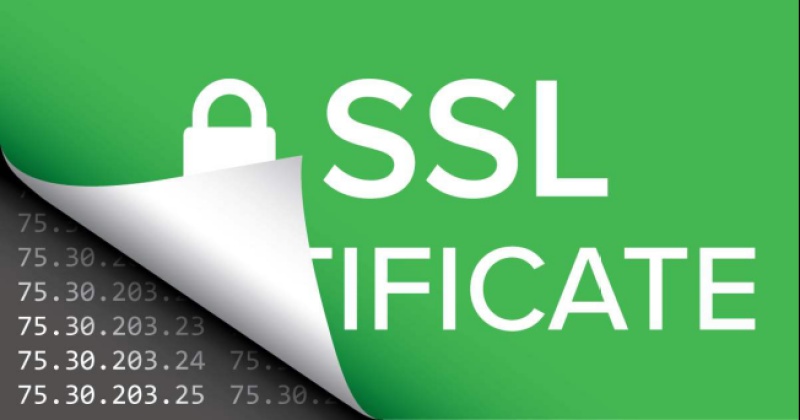 网友不建议企业做SSL数字证书认证？您可长点心吧！
