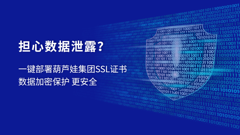免费SSL证书那么多，为什么我不建议你使用？