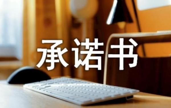 个人承诺书有法律效力吗？