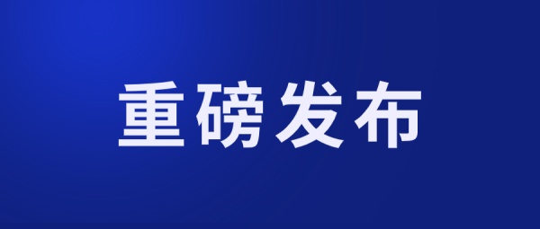 重磅！加快数字政府建设，国务院常务会议大力推广电子合同、签章等应用