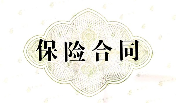 轻松查阅保险电子合同，保障您的权益从这里开始！