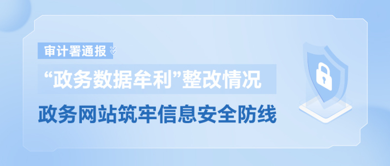 审计署通报“政务数据牟利”整改情况，政务网站筑牢信息安全防线