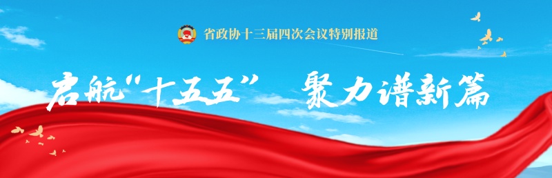 聆听两会“新”声之一